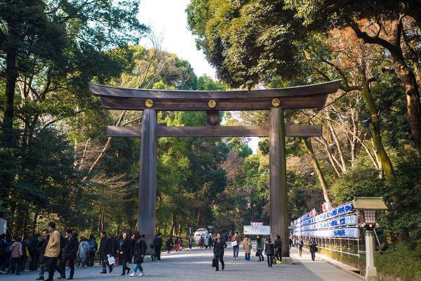 水晶玉子さんが注目するパワスポ5選　2024年は「植物」と「龍」がカギ