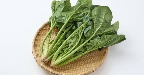 ほうれん草　味噌汁にそのまま入れるのはNG？　SNSで話題の疑問に管理栄養士が回答
