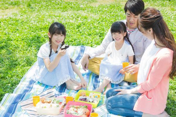 プチトマトのヘタはとったほうがいい？お弁当を腐らせないための極意を栄養士が解説