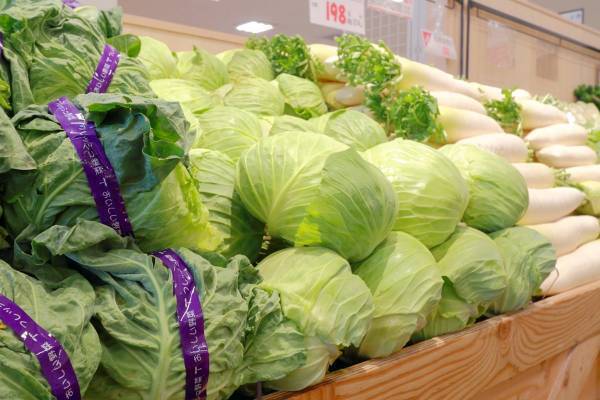 キャベツは1.5倍、レタスは1.45倍と野菜高騰！“平年よりも安い”意外な食材は？