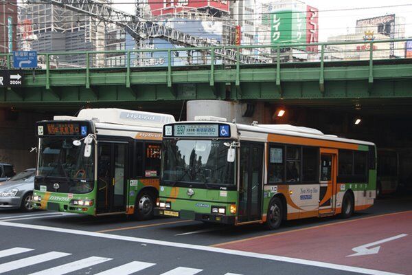 こんな光景が見れない日も近い……（写真：PIXTA）