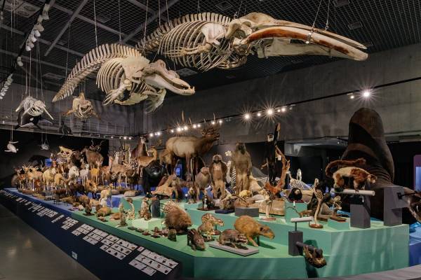 ヒグチユウコなど話題コラボが売り切れ続出！「大哺乳類展3」グッズ大紹介