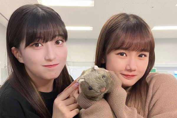 「戻ってくるの無理」モー娘。怒涛の卒業ラッシュ…カムバックに厳しい視線が注がれる“不祥事メンバー”