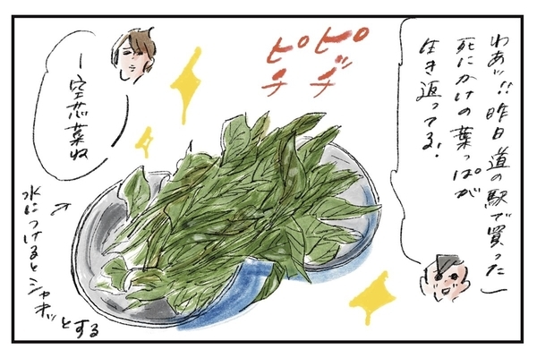 蘇生させたのに『まめ日和』第483回