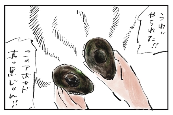 アボカドと結婚生活『まめ日和』第487回