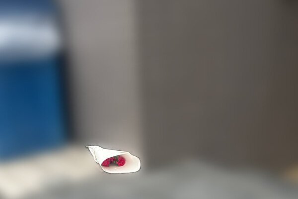 「子供を預けたくない」生後3か月の乳児殺害　逮捕の母親がSNSで明かしていた深刻な“夫婦の内情”