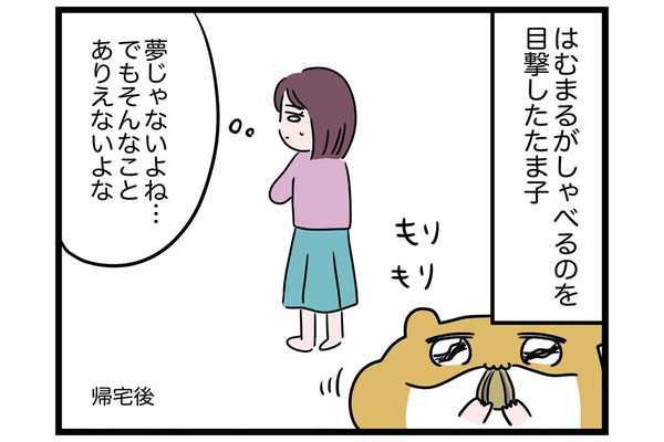 宇宙からやって来た!?【怒りの毛玉戦士はむまる】VS.はむまるは何者？（1）