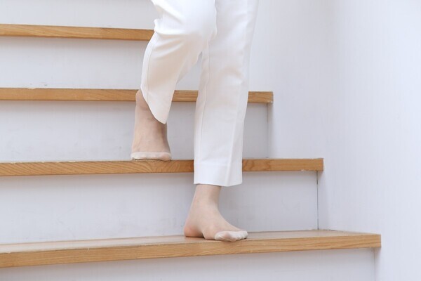 「階段は上る？下りる？」名物教授がおすすめする寝たきり予防に効果的な“運動”