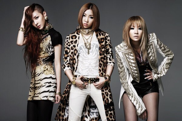 “最後のステージ”になるかも…2NE1・DARAインタビュー　12月来日ライブで「物語を完成させる」