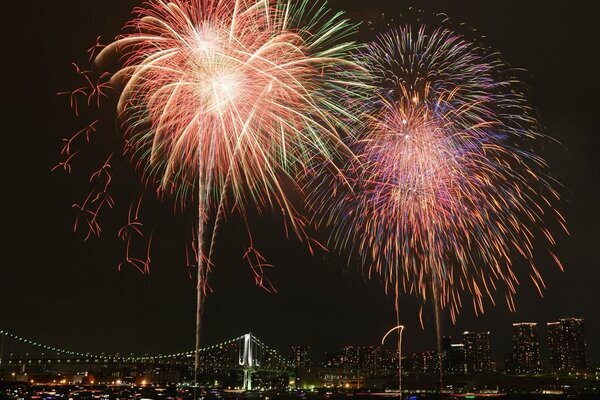 「5000円払ったのに雲で何も見えない」11年ぶり開催の東京湾大華火祭　雨天での開催に観覧客から不満噴出…運営が語った「反論」と「今後の課題」