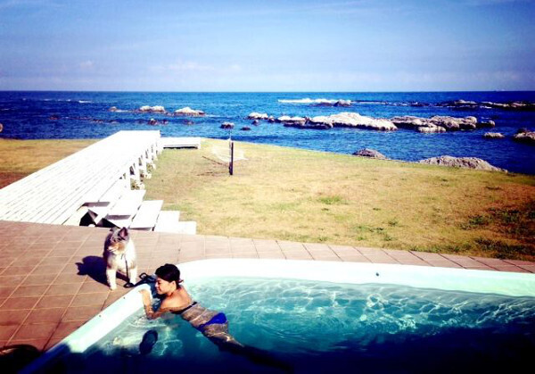 「ペットは同伴？お留守番？」本当は秘密にしたい、ペットと泊まれるとっておきのお宿