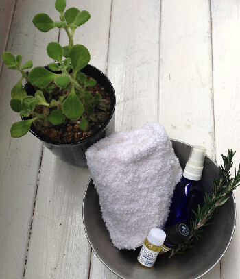 春のゆらぎ肌をホリスティックに克服！植物のパワーで、揺るがないエイジングケアを