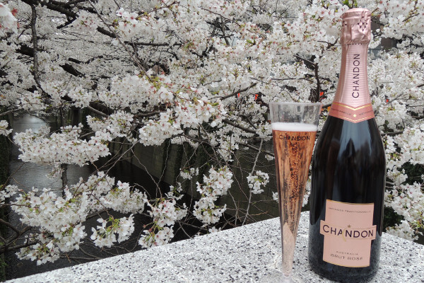 ロゼスパークリングワイン片手に目黒川でお花見を