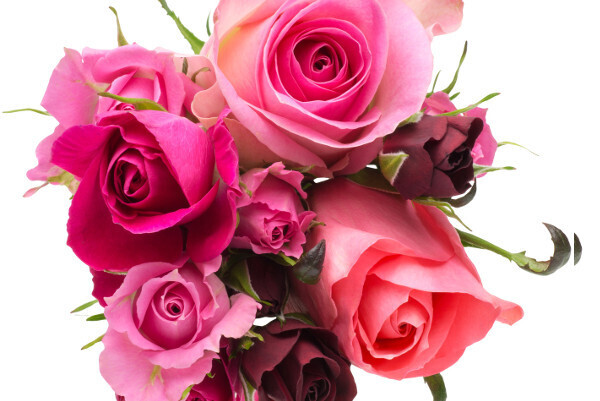 華やかに春を彩る、ローズの力で美ボディを手に入れる！