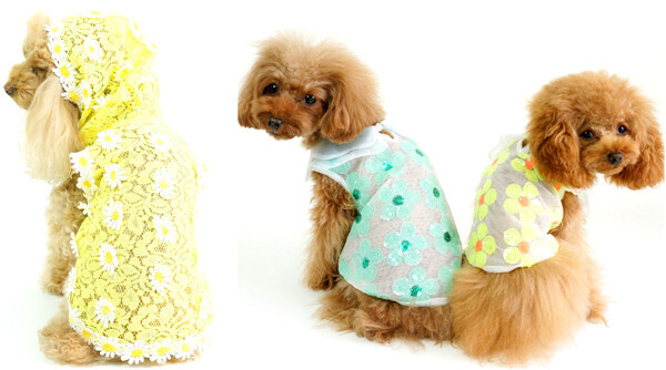 春夏ファッション！トレンドはペットと一緒に楽しんで