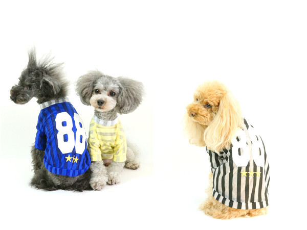 春夏ファッション！トレンドはペットと一緒に楽しんで