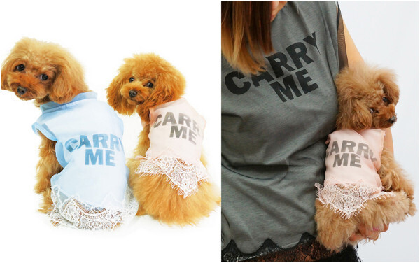 春夏ファッション！トレンドはペットと一緒に楽しんで