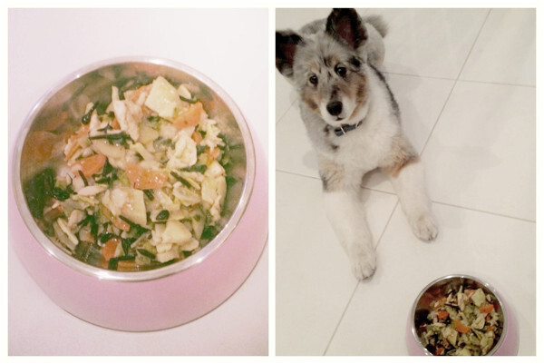 ペットの食事も手作りで！家族みんなで幸せご飯タイム