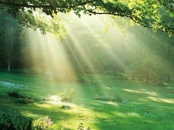 寝苦しい夜にはコレ！噂の快眠“ヨガニードラ”とは？