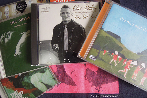 ぶさカワ 猫「まこ」と 愛犬「富士丸」の ブログ -飼い主のエゴでなく、動物本位に暮らす-