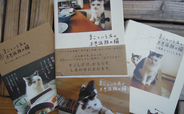 ぶさカワ 猫「まこ」と 愛犬「富士丸」の ブログ -飼い主のエゴでなく、動物本位に暮らす-