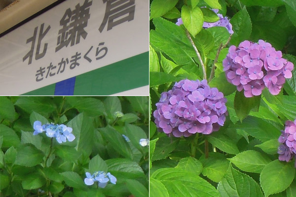 鎌倉までプチ観光！　本当は誰にも教えたくない秘密の隠れ家・喫茶ミンカ