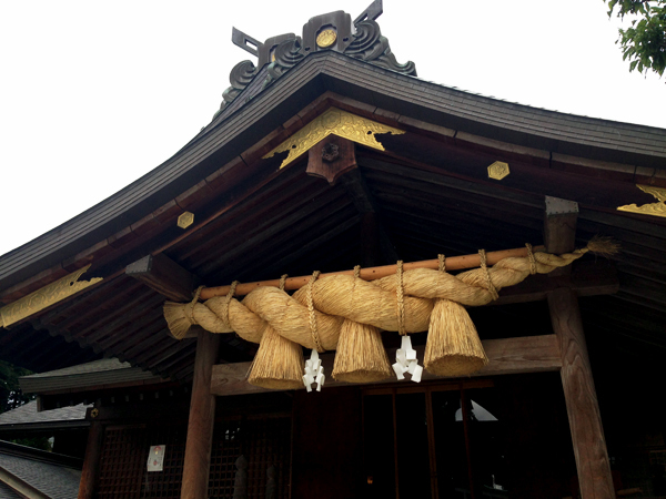 電車で行ける出雲大社 相模分祠で、森と人のえんむすびを考える