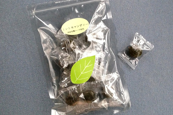 オーガニック認証を取得した日本のハーブ園の実力を体感！