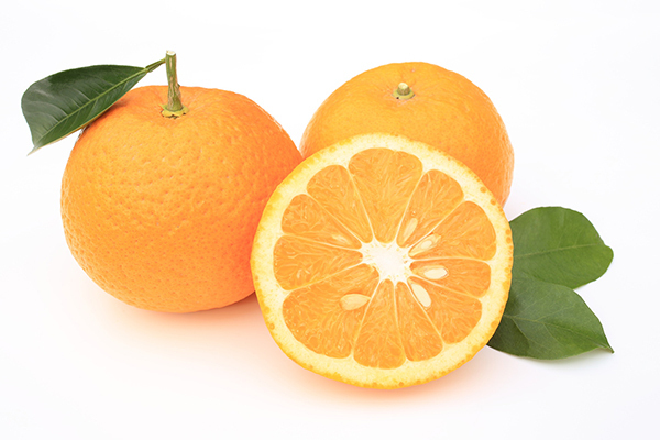 甘夏でトーンアップスキンケア！ アンチエイジングの鬼の「こだわり」