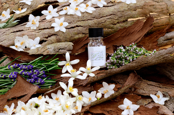 “粘膜ケア”から始める、オーガニックライフのすすめ