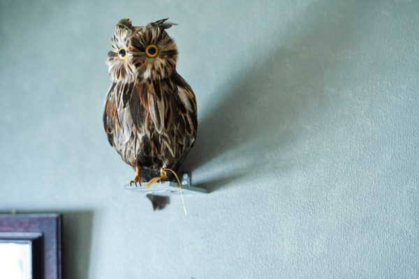 ウォールデコで “家具を変えない” 模様替え