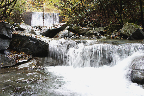 本当はおいしい、「水道水」の飲み方