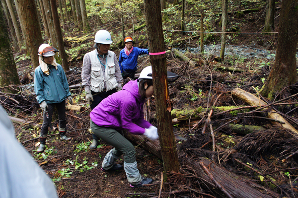 本当はおいしい、「水道水」の飲み方