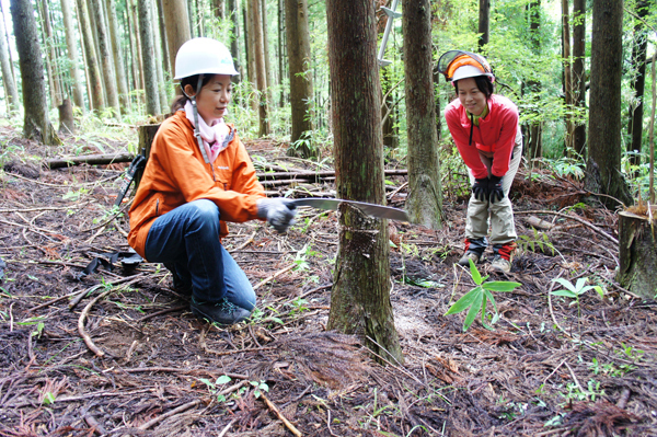 本当はおいしい、「水道水」の飲み方