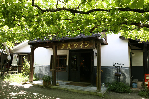 シーズン到来　山梨のワインイベントに行こう！