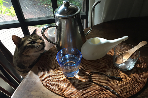 アーユルヴェーダ的 ”3つの朝習慣”  でデトックス