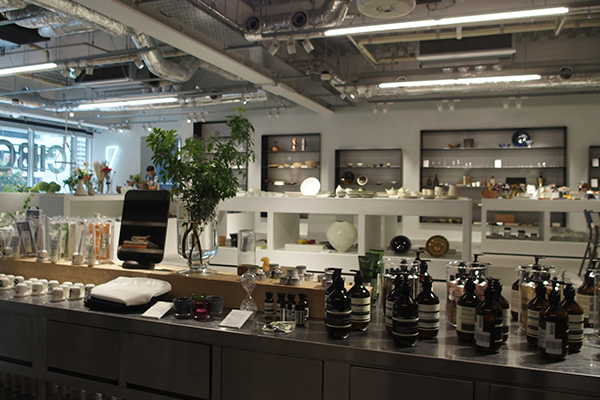 枯れ姿も楽しめる！？新・インドアグリーンの楽しみ方