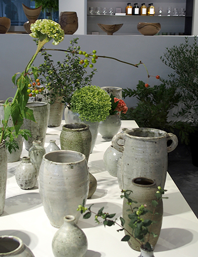 枯れ姿も楽しめる！？新・インドアグリーンの楽しみ方