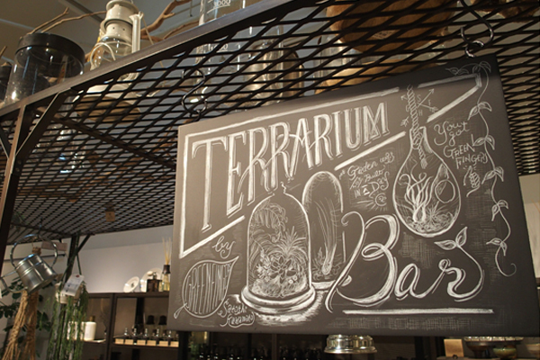 枯れ姿も楽しめる！？新・インドアグリーンの楽しみ方