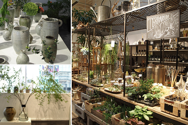 枯れ姿も楽しめる！？新・インドアグリーンの楽しみ方