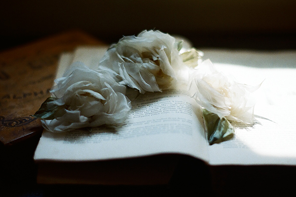 秋のシックな装いに加えたいシルクフラワーに漂う詩情