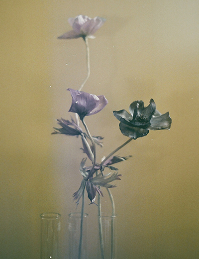 秋のシックな装いに加えたいシルクフラワーに漂う詩情