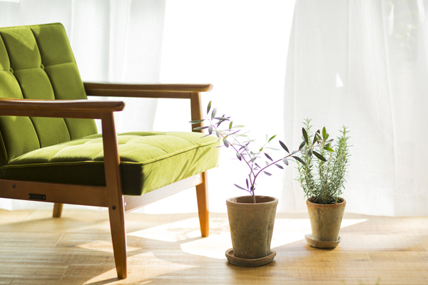 “乾燥対策” はもう万全？　最新・保湿家電をチェック！