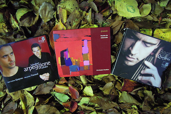 もの悲しくなる秋の夜に聞きたい、癒しの響き3選