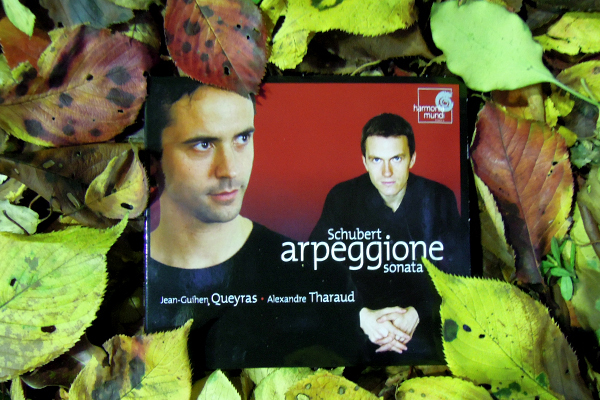 もの悲しくなる秋の夜に聞きたい、癒しの響き3選