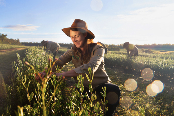 肌老化を防ぐ “サビない身体” へ3つのルール