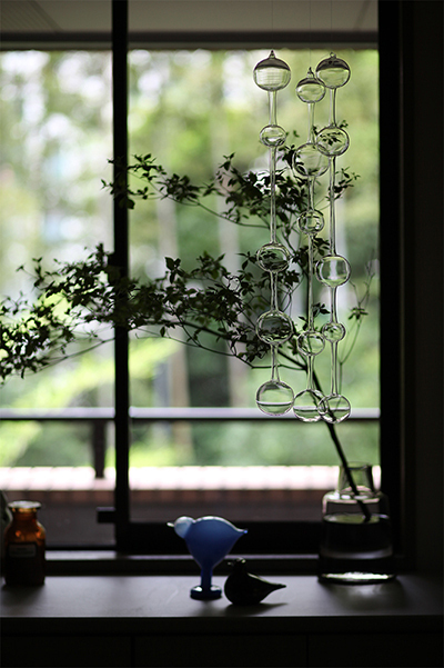 部屋にいながら自然を感じる！厳選インテリアアイテム