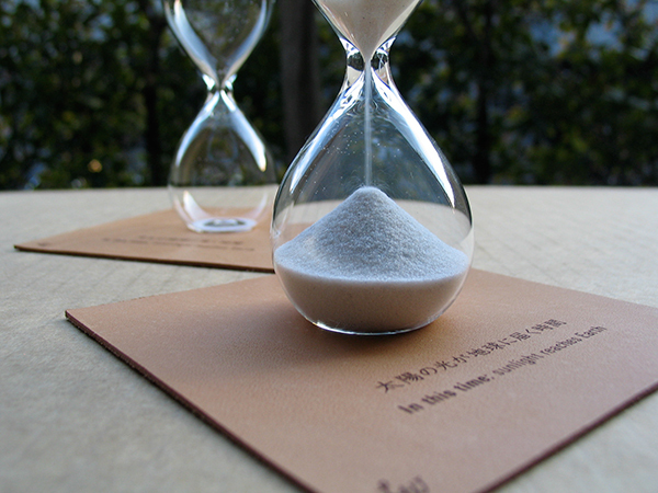 部屋にいながら自然を感じる！厳選インテリアアイテム