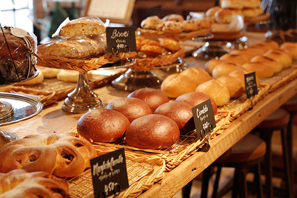 教会巡りと椿オイルで癒される　長崎・五島列島への旅