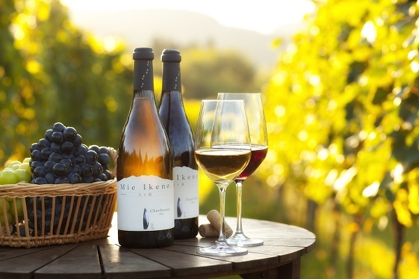 星野リゾートが彩る特別な大人の恋旅